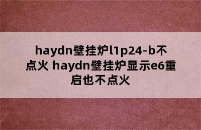 haydn壁挂炉l1p24-b不点火 haydn壁挂炉显示e6重启也不点火